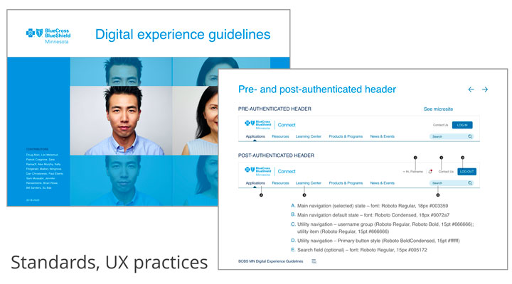 Blue Cross digital experience guidelines